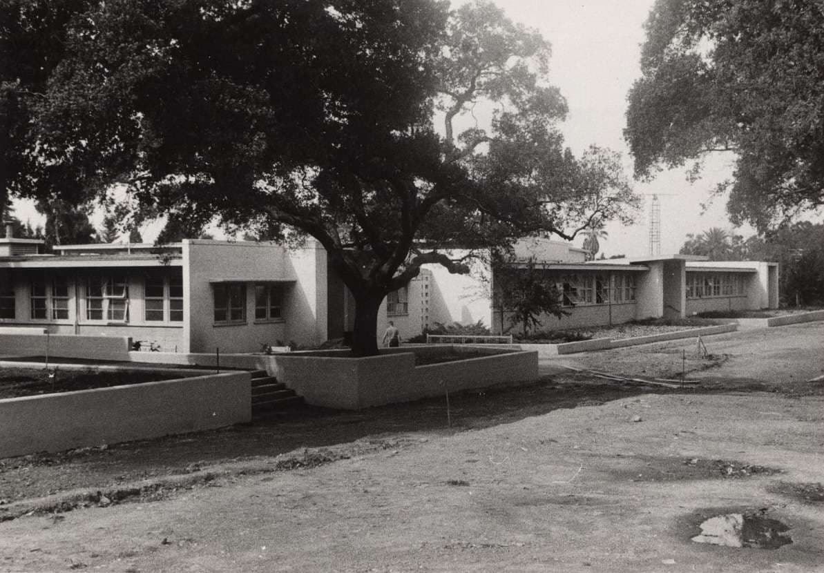 A modern, single-story building with large windows and flat roofs, partially shaded by large trees, and surrounded by bare ground.